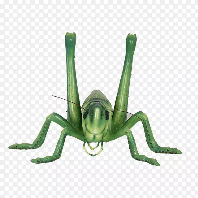 �ȳ�����ͼ��-�ȳ�PNG-������