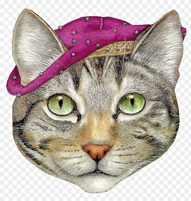 è������Ӱgif���˥�`�����-cat-������