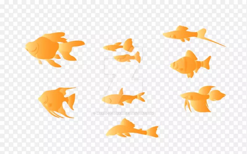 �����ֽ�����������-������