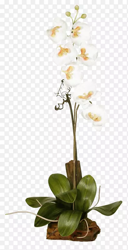 ����ֲ����ϵ-������