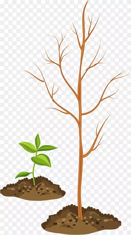 ƴͼ.������֦-������