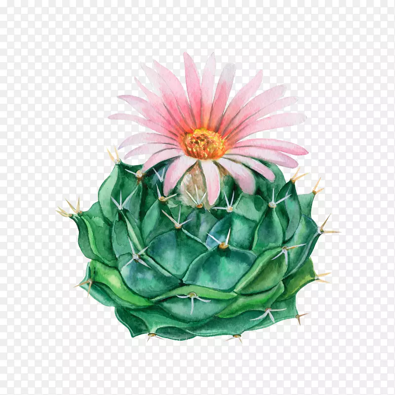 ˮ�ʻ����������������ƿ�������-������