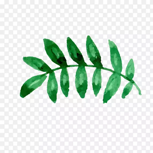 ˮ�ʻ��ֻ���Ҷ-������