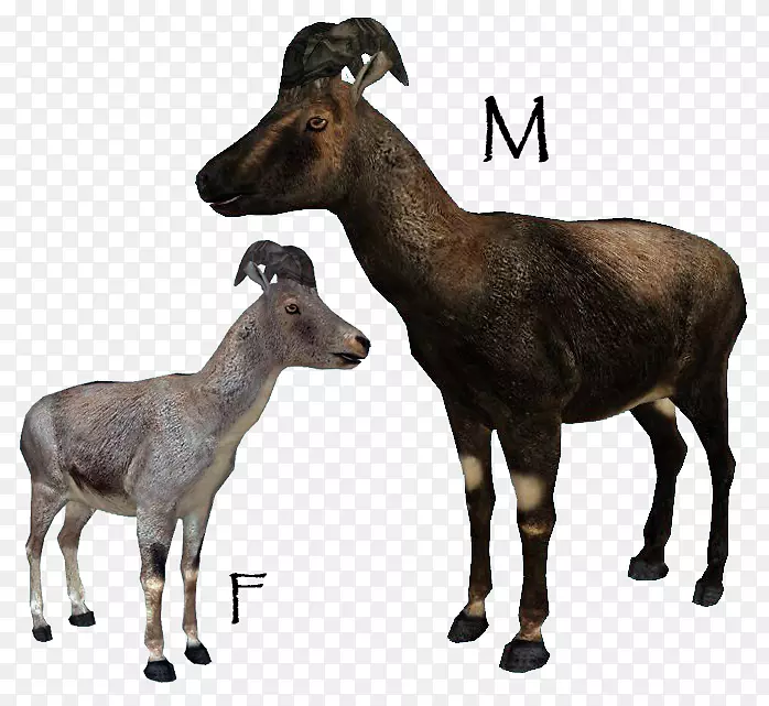 ����ɽ��ϴ��½�ض��Ұ������-����԰���2-������