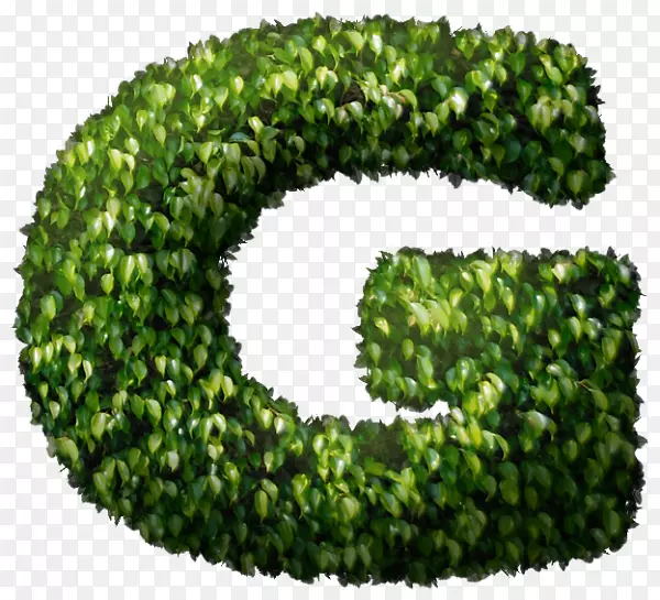 �̸�³˹-������