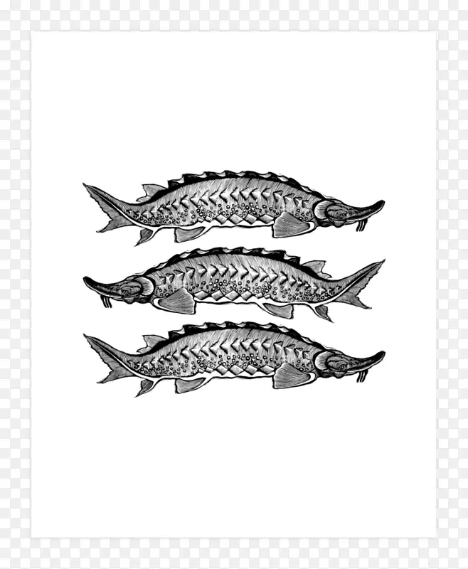 ɳ�����ɫ����-������