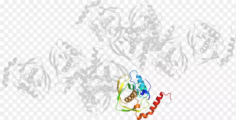 ��������ƽ���������-������˹ŷ�Ȱ���˹-������