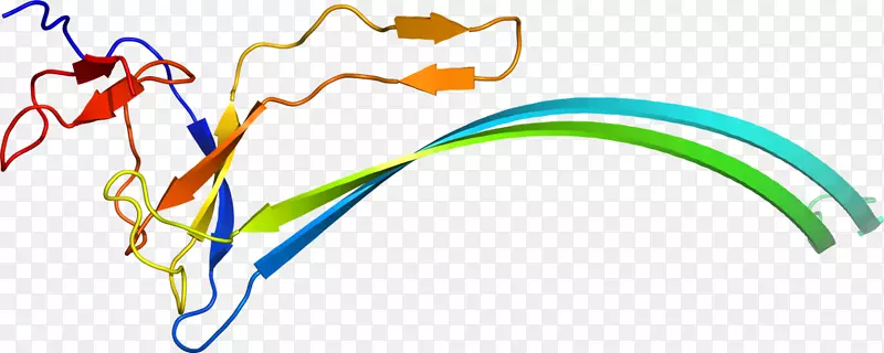 �ߵ������������-������