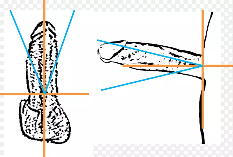 ����������-������