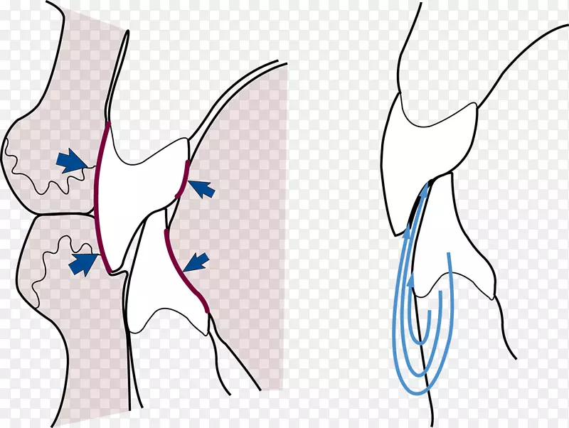 ����EAR/m/02csf�ԳƼ�����.������-������