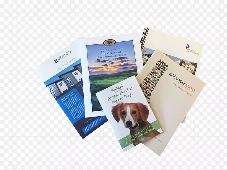 ��Ӱֽ���Ʒ����Ӱ.ˮ��˼ά-������