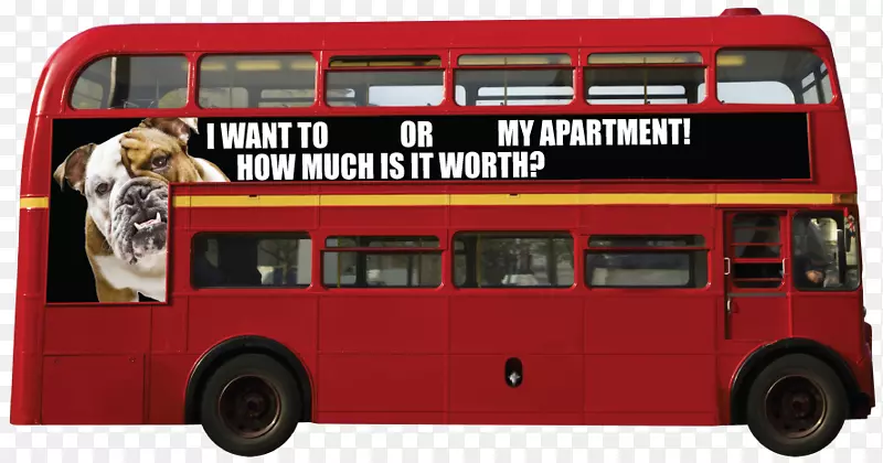 ˫���ʿ�������������-�׶ذ�ʿ-������