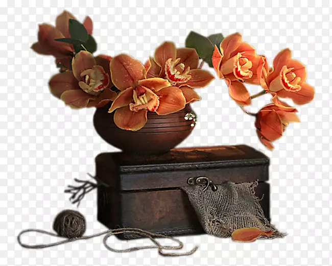 ���ܲ��ͼ�����-��-������