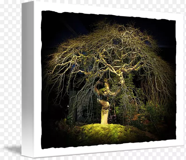 ��Ӱ.����֮��-������