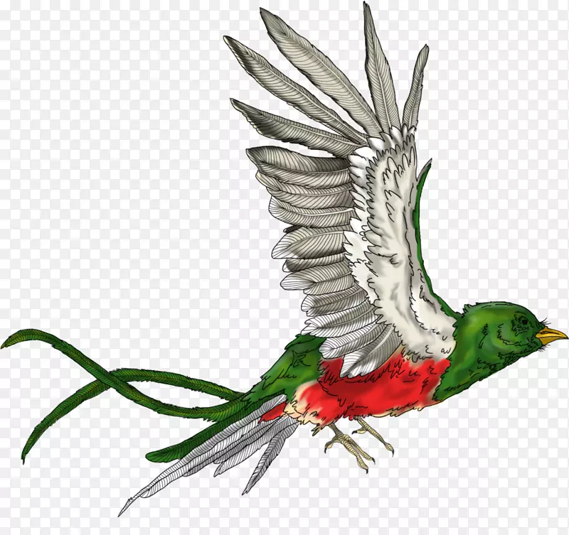 ��ද����ë-������