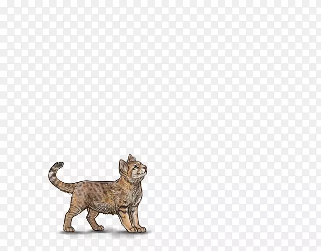 è��ʨ½������Ұ���������ʨ��-������