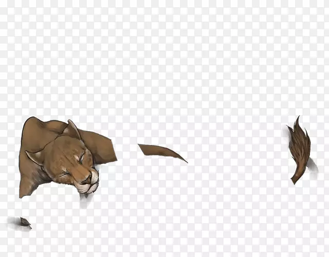 Ȯ�����𹷱���-��ʨ-������