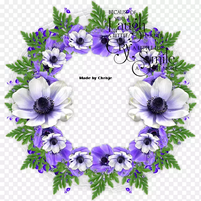 ��������л���Ȧ����-����-������