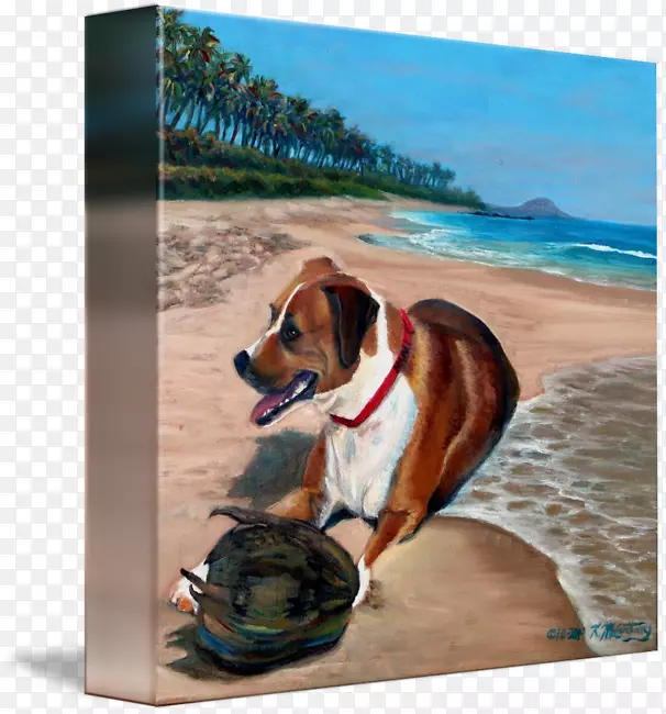 ����ֳ�����Ӷȼٺ�̲���˺�-������