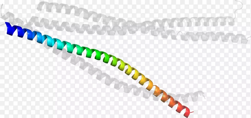 �߹��ճ������ν���-������