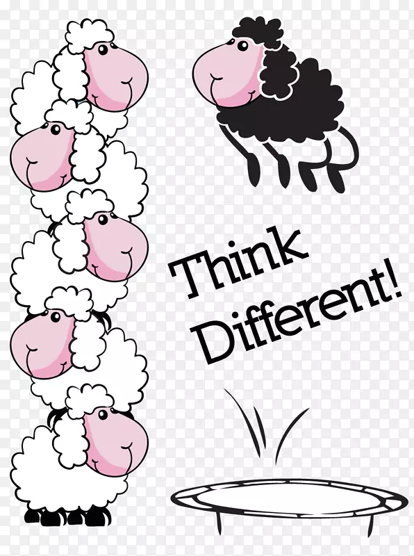 ���þ��ӣ�DELL��Immacolata��������-������