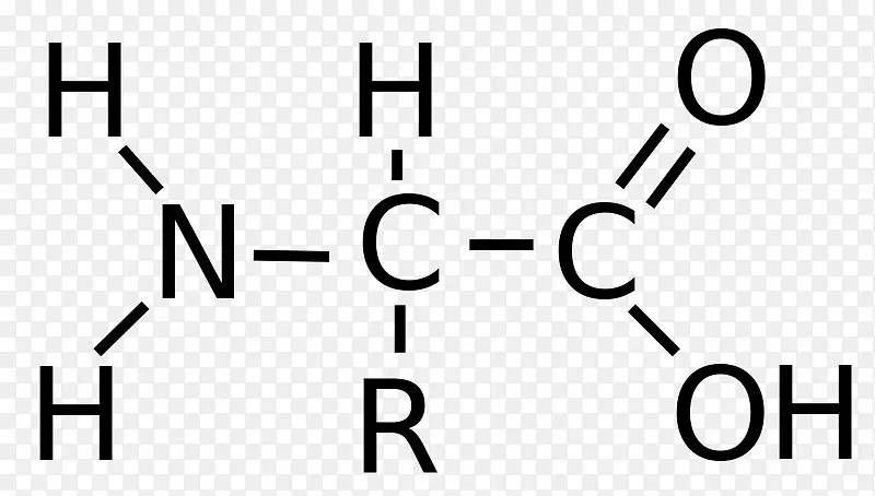 ���������ᰱ��������Ű�����-������