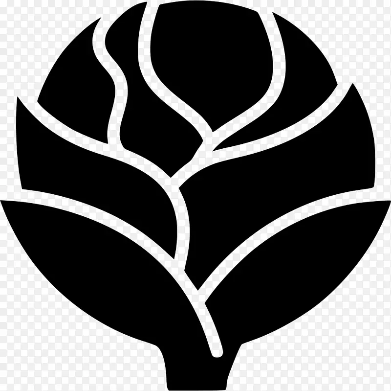 ֲ�ﾥ����ֲ��ҶƬ������-������