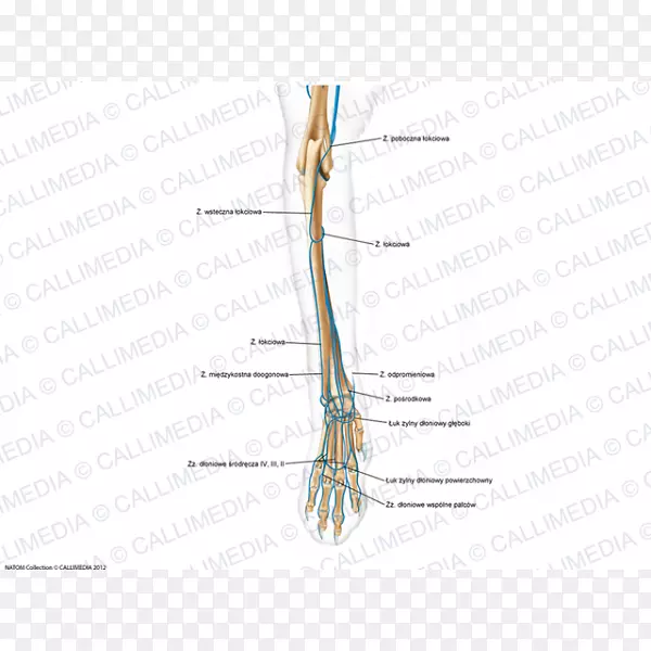 ��ָͼ�߽�������-������