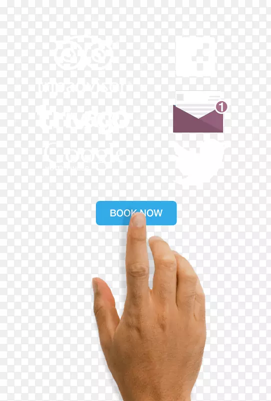 ��ָ���-������