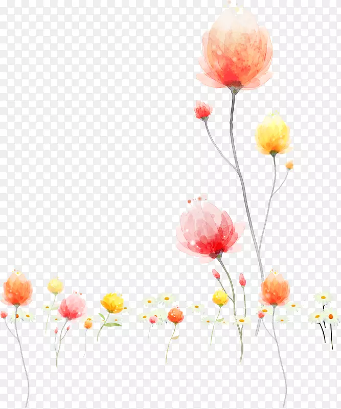 ˮ�ʻ���ͼ.ˮ�ʻ���-������