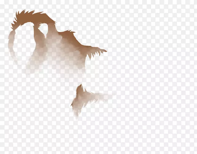 �����ֽ��ë�����.����-������