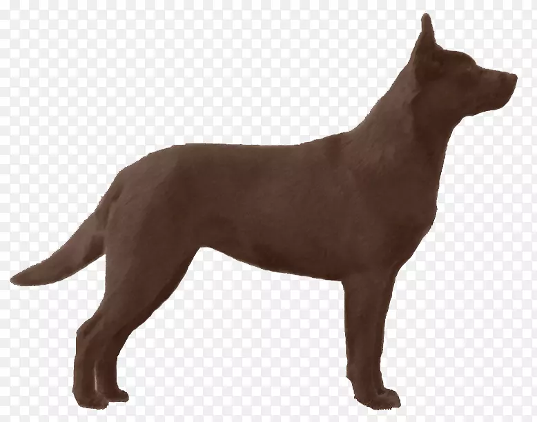 �Ĵ����ǿ���Ƥ��������Ȯ�ֱ���-�Ĵ�����-������