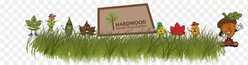 ��-������