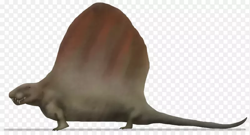 ��ʨ���궯��Ұ�����ﺣ��-������