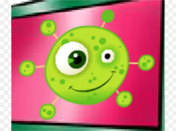 Ц���̼�������-�ۺ�ɫ��ɫ-������