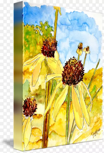 ˮ�ʻ���ɫԲ׶������ˮ�ʻ���ɫ-������