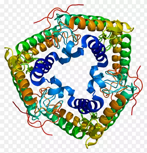 ���������鱦�л�����������鱦����-������