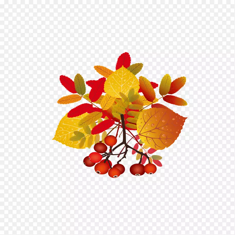 ��Ҷ��Ϣ.����ֻ�-������