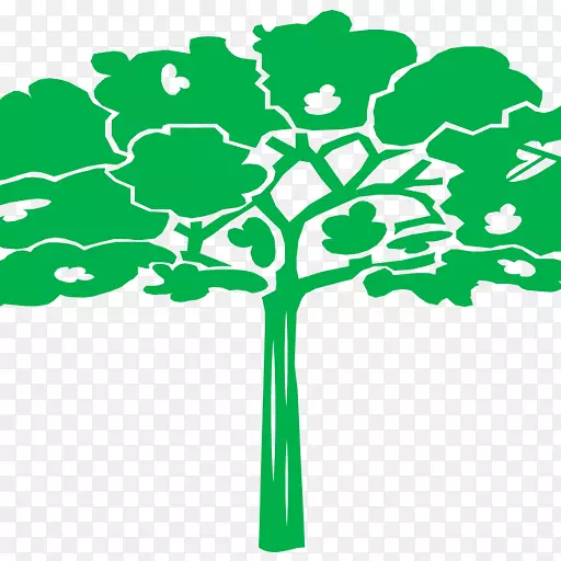 ��ɫֲ�ﾥ����ֲ�������-������