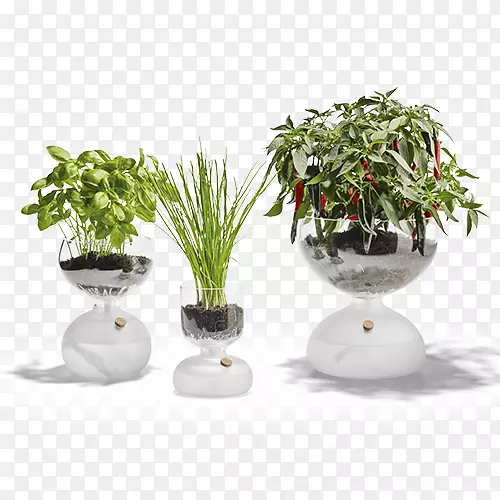 ����������ǻ�԰����-������