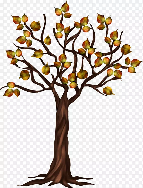 ����-�ֻ�����-������