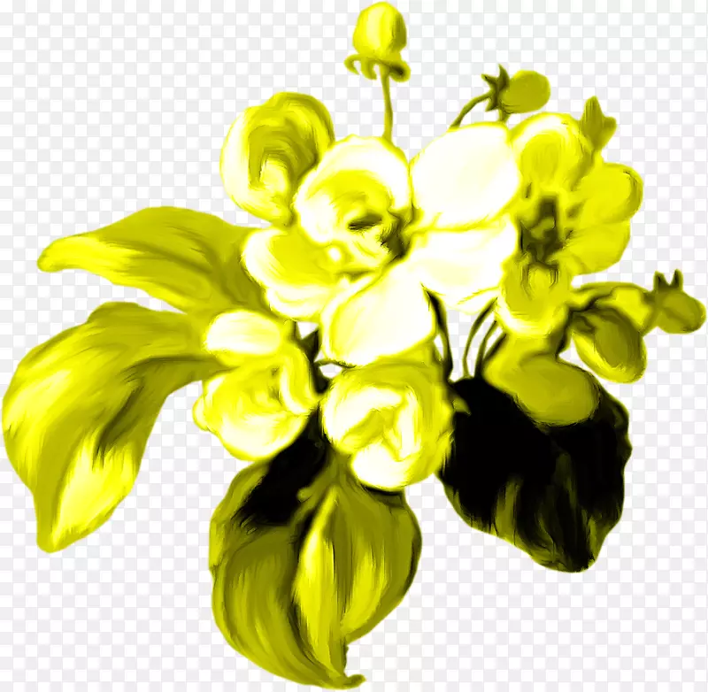 ������Ƽ���������-������