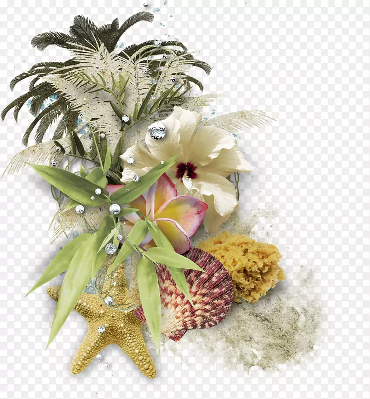 װ�α߿򲩿ͼ�����-������