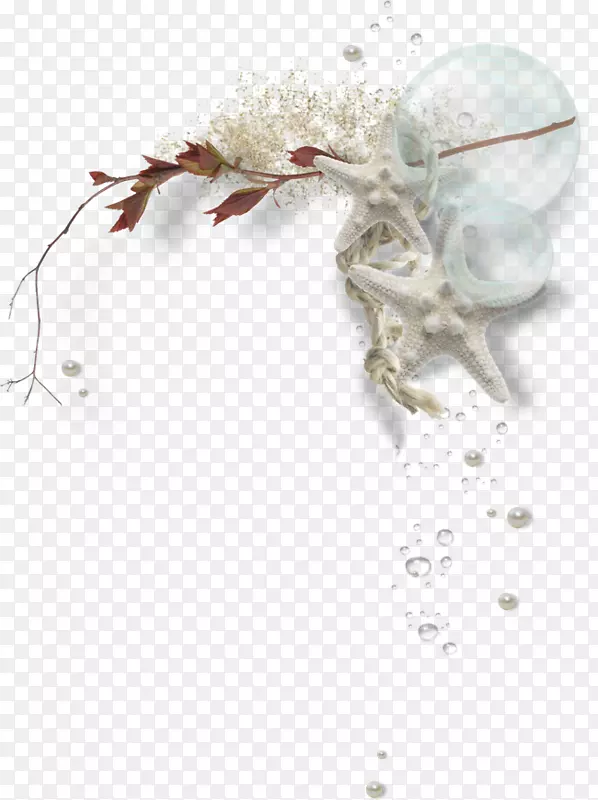 �鱦bmp�ļ���ʽ������-������