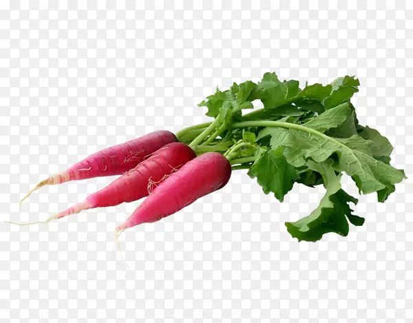 ̨��Ҷ���л�ʳƷ-�߲�-������