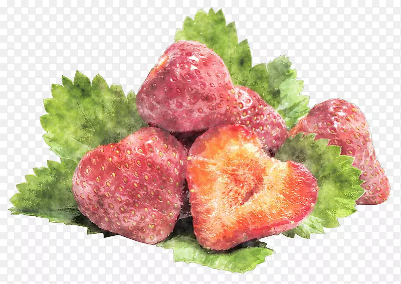 ��ʳҶ���ײ�.�ֻ��ݮ-������