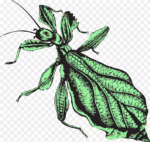 ���������������������ѧ����-������