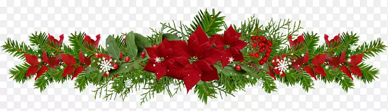 ��ʥ��װ��Ʒ��������ֲ�ﾥ-ʥ����-������