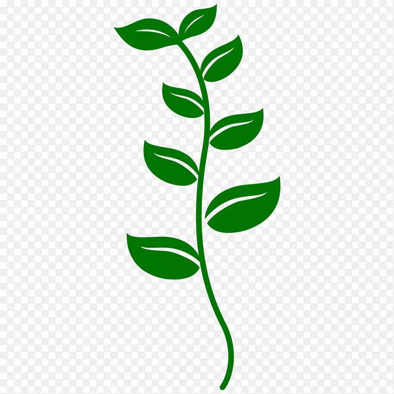 ����ư�������-����-������