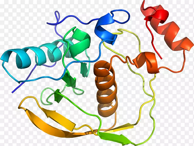 �߲��л���ϵ�м�����-�߲�-������